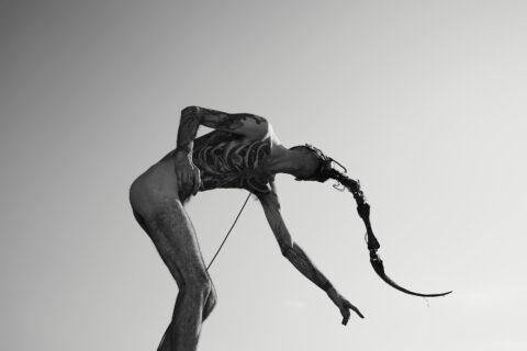 Guest Lecture: Marco Donnarumma